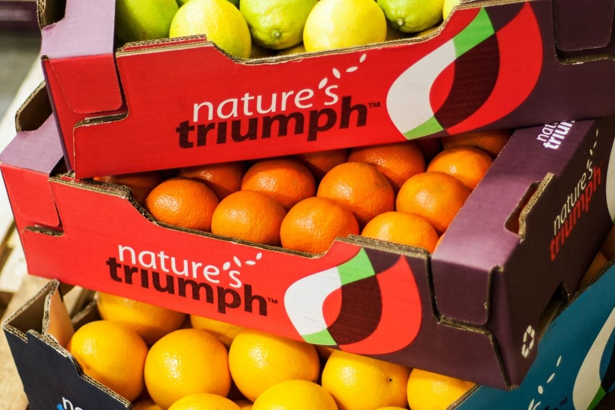 natures-triumph-stacked-boxes