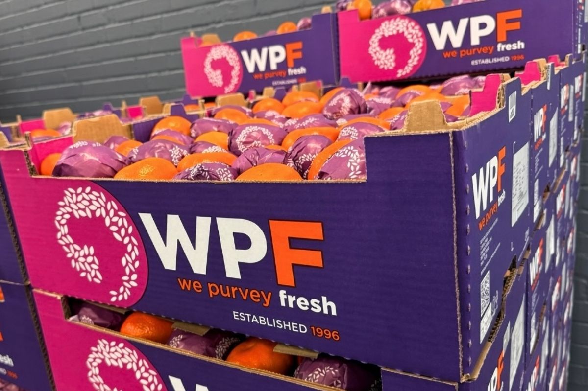 wp-fresh-mandarin-carton-warehouse
